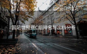 国足世预赛C组排名与出线分析