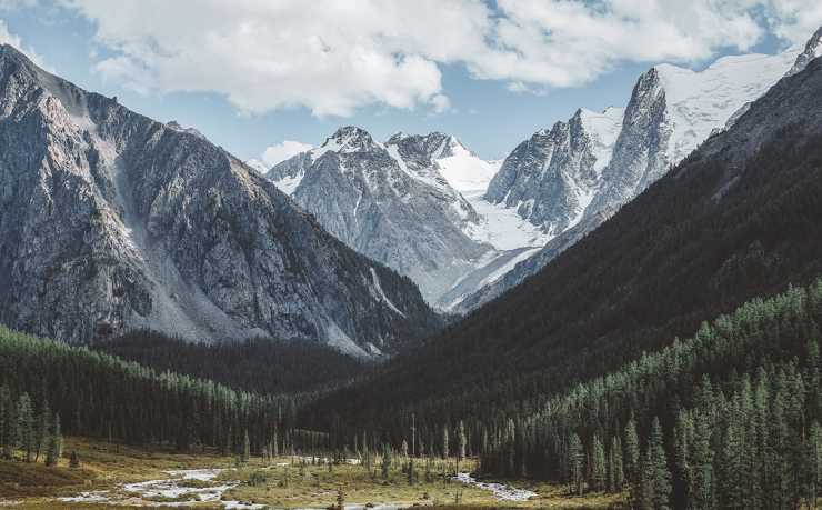 欢迎在宝塔面板安装Z-BlogPHP！